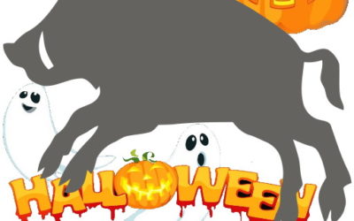 Enjoy Halloween 👻🎃 with OinkAndStuff 🧹🧙 Chat Multi Messenger 🧛🔮